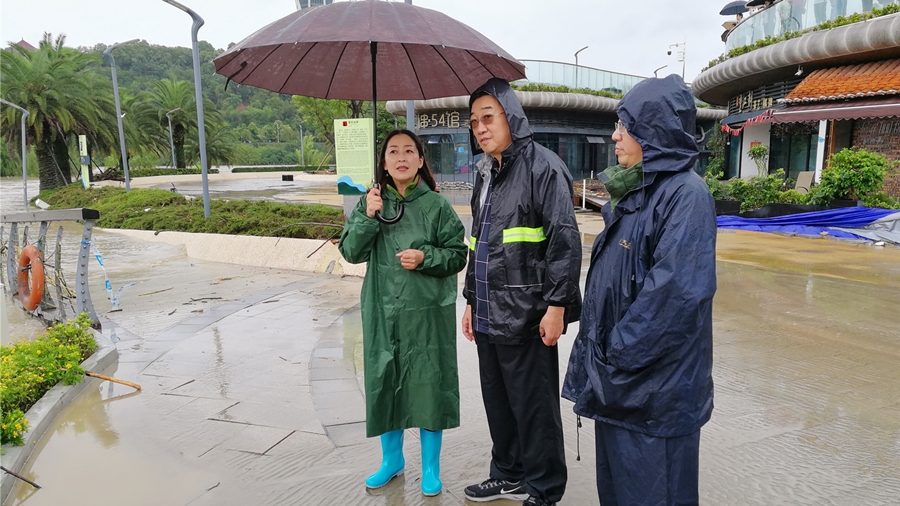 04-8月16日，，，，程总视察三江半岛及豪威尔号受损情形_副本