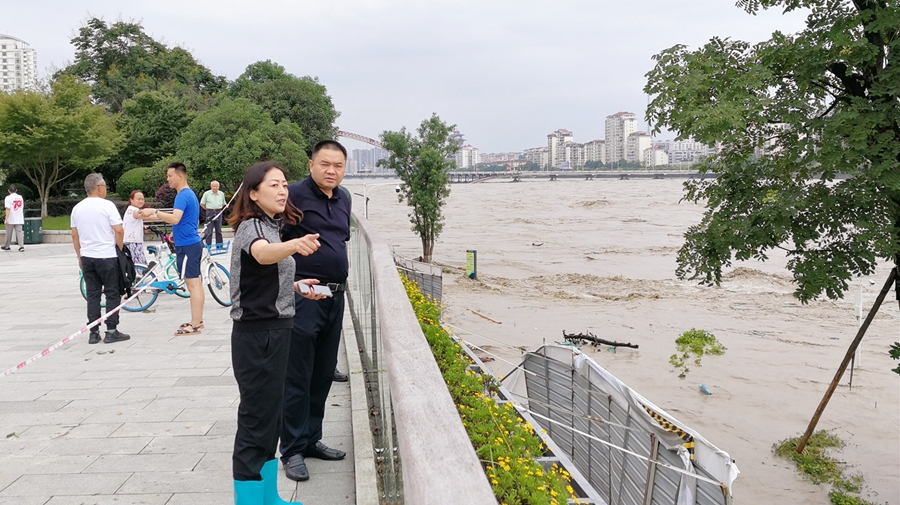 06-8月17日，，，，肖林书记在三江码头检查洪峰过境情形_副本