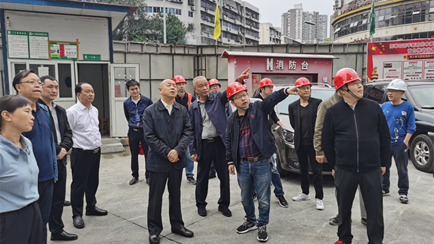 市委常委经大忠调研嘉来·南河广场项目建设情形