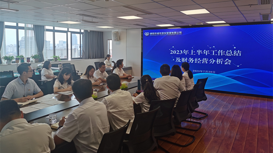 半年岁情总结会