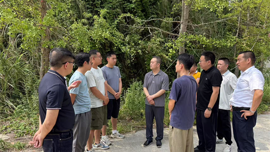 Betway必威集团组织开展墟落振兴实地调研事情 以灯光点亮墟落生长之路