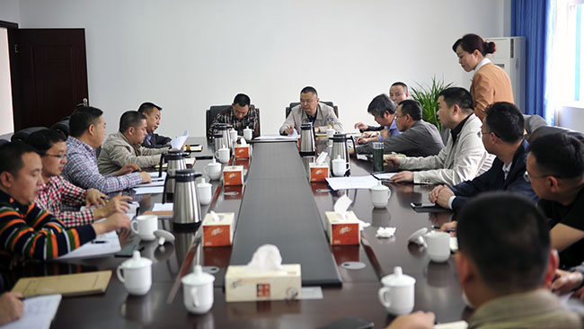 集团董事长肖林赴城南新区南塔片区基础设施建设等项目现场调研