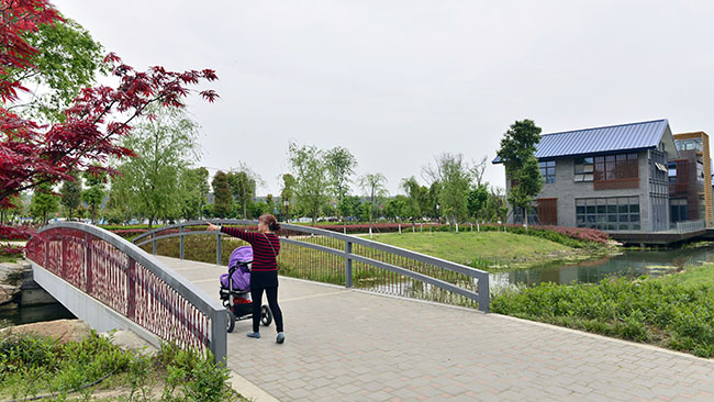 集团全力推进小枧生态湿地公园建设