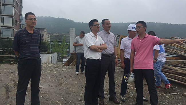 集团党委书记陈建强带队检查集团重点区域汛期清静事情