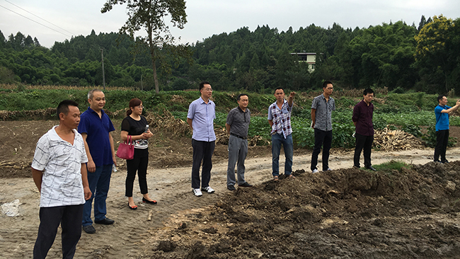 Betway必威集团前往联系帮扶贫困村开展调研事情